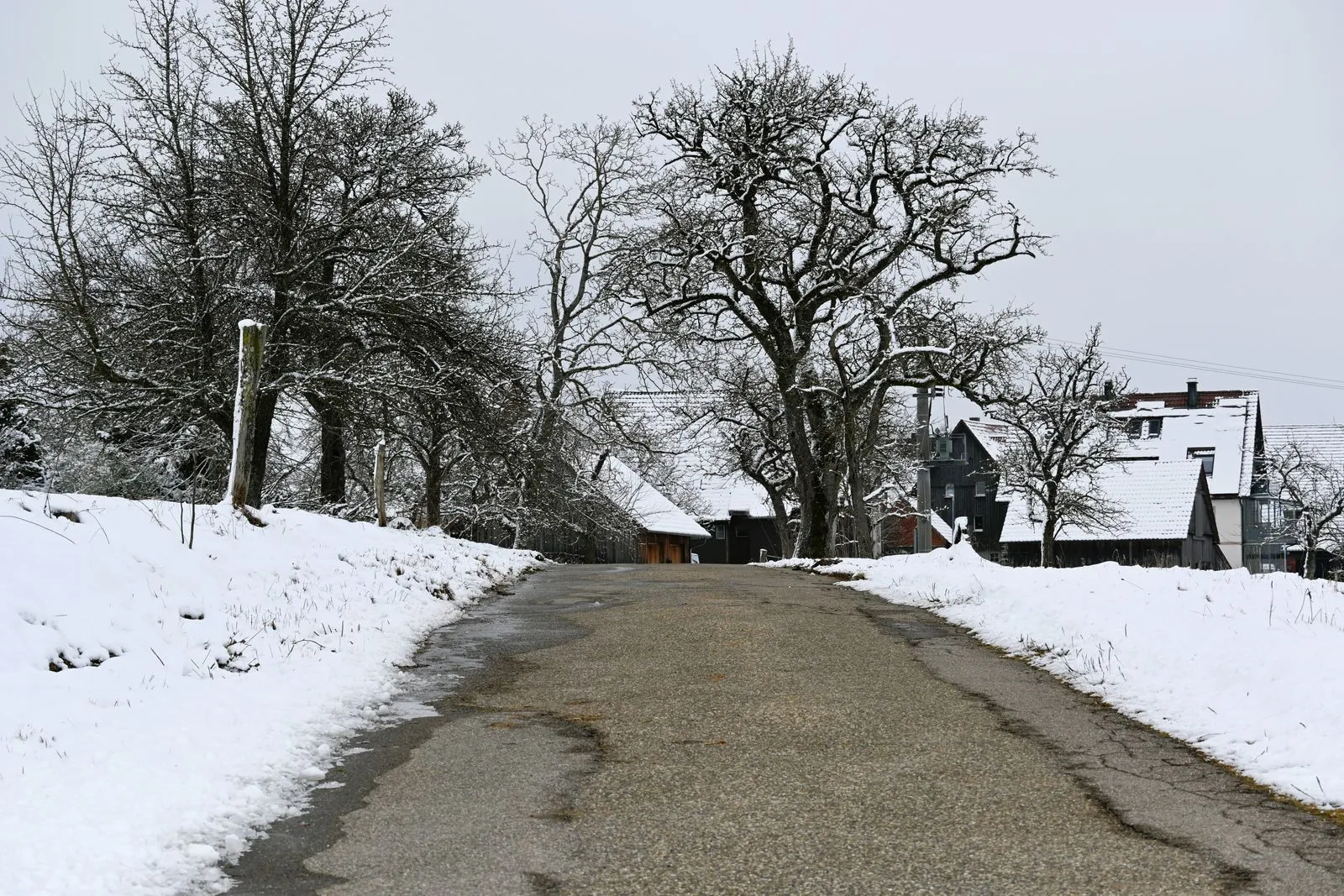 Winterliche Straßenszene in Hamburg, dekoratives Symbolbild.